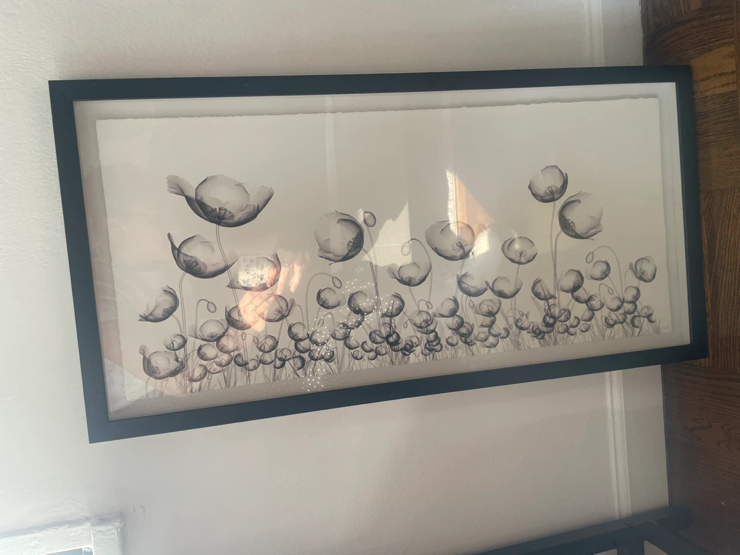Framed Black and White Floral Artwork
