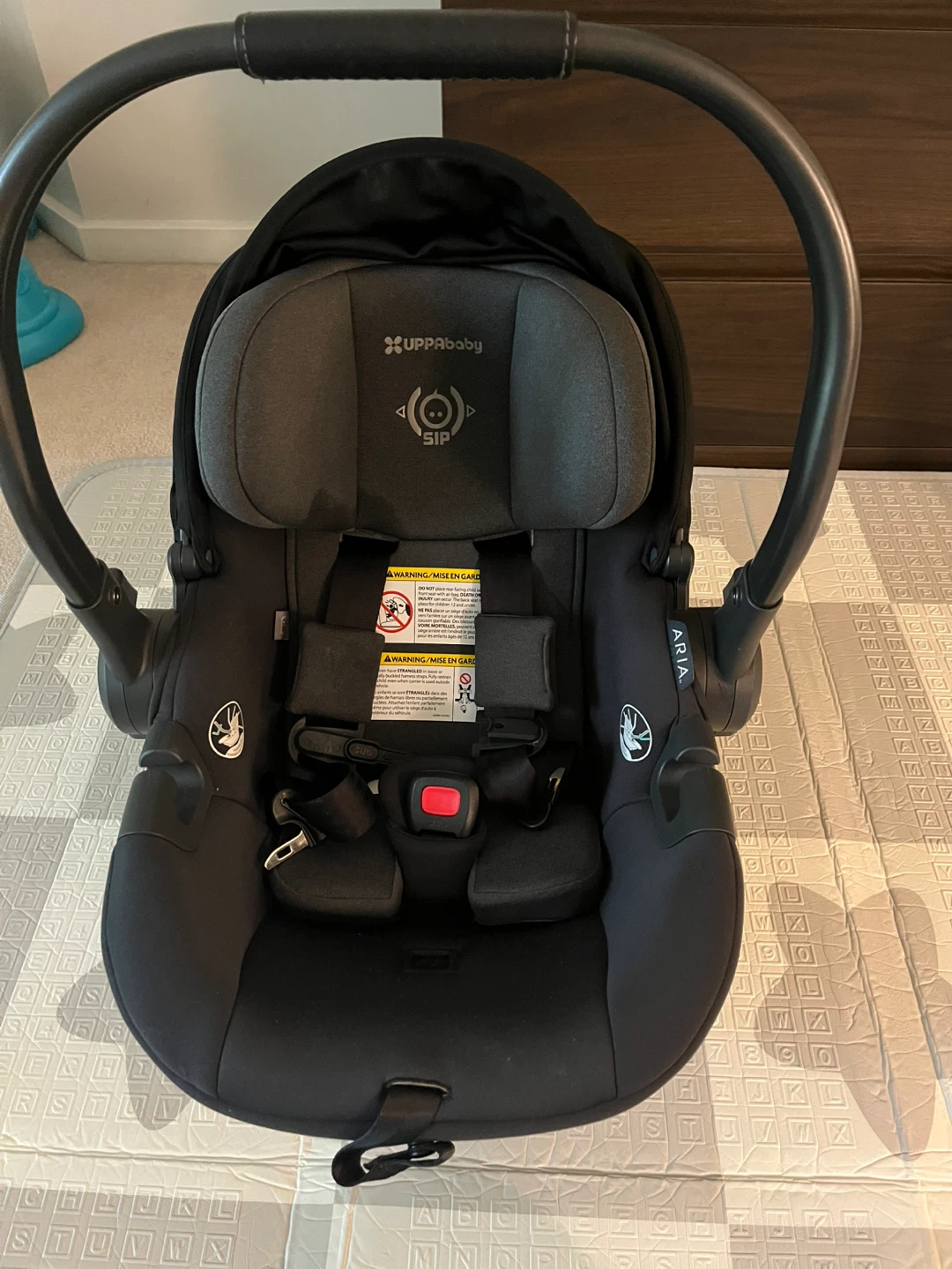 UPPAbaby Aria Infant Car Seat