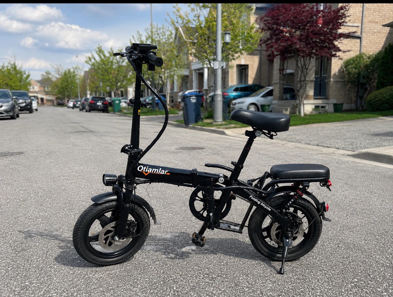 Folding electric bike (42kmh)