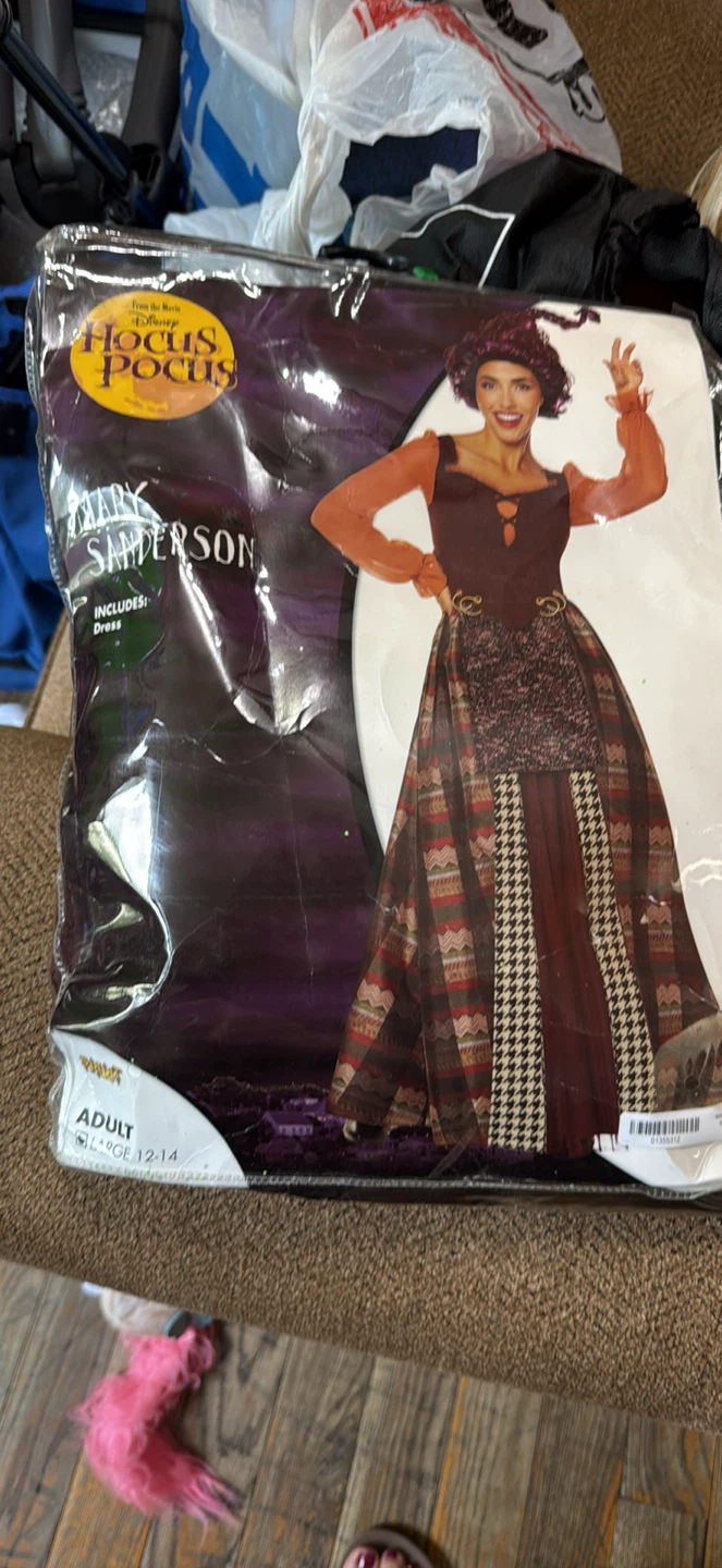 Hocus Pocus Mary Sanderson Adult Costume Dress Large 12-14
