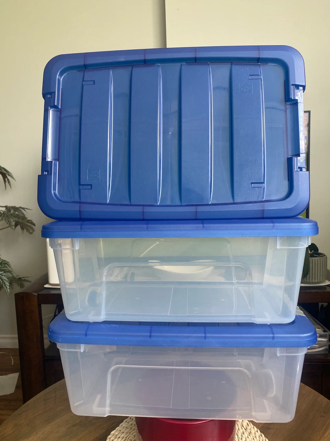 Set of 4 Blue & Clear Plastic Storage Bins