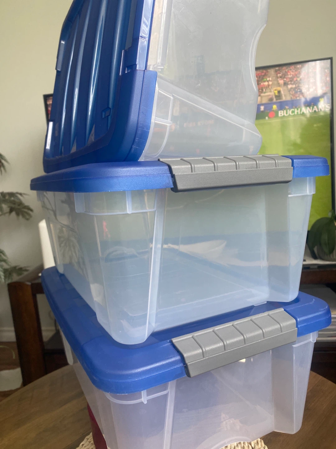 Set of 4 Blue & Clear Plastic Storage Bins - photo 2