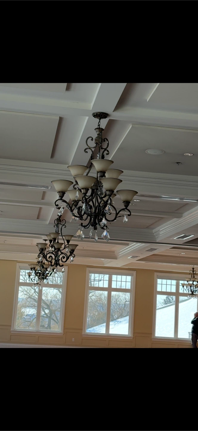 Ornate Chandelier Fixtures