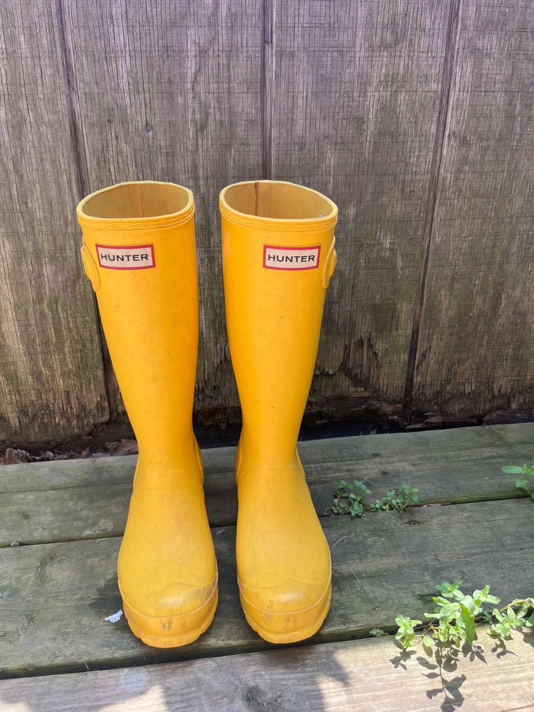 Hunter Yellow Rain Boots - Size 3 Big Kids/ 5 Women’s
