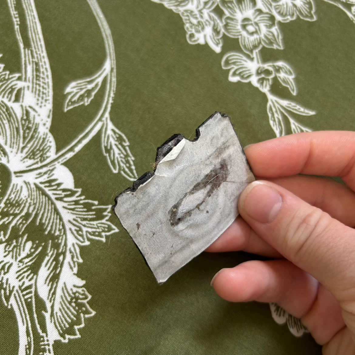 Iron on patch - Camera - photo 2