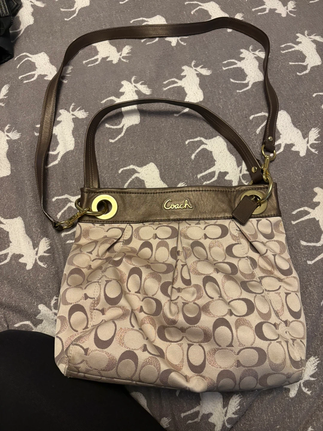 Coach Hobo Bag