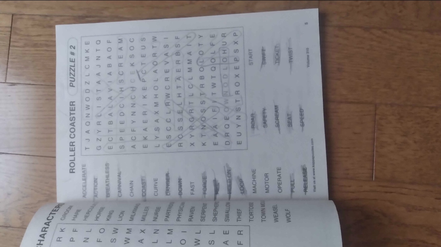 Large print word find book.  One page has been completed.  $1 - photo 2