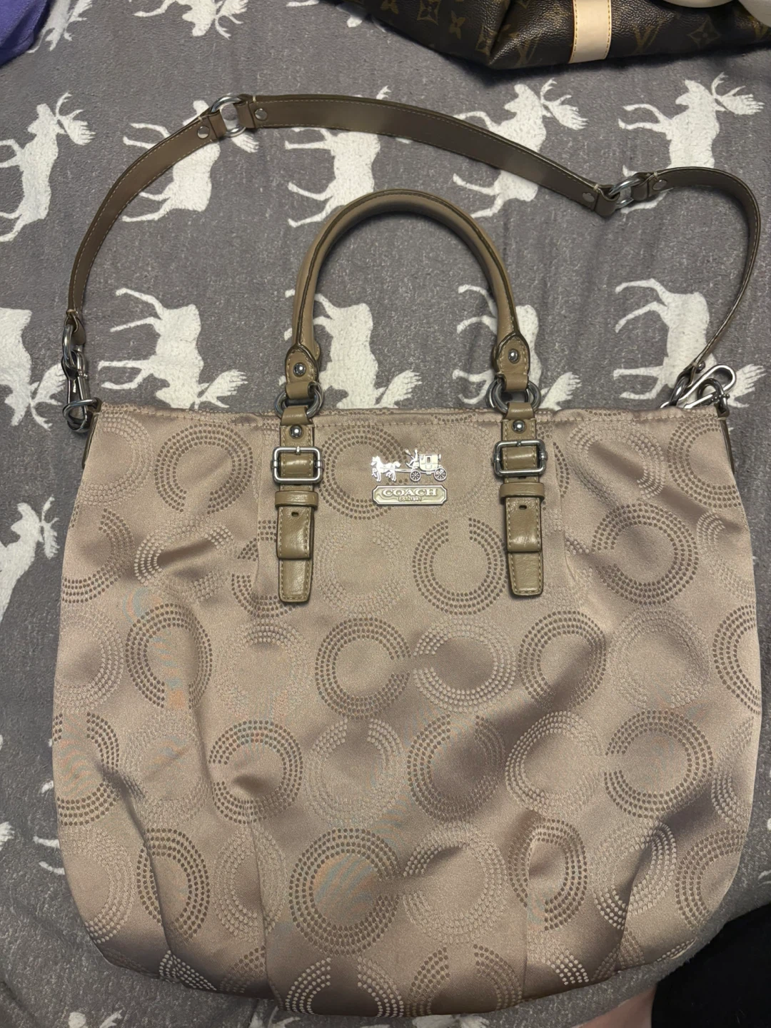 Coach Signature Pattern Tote Bag