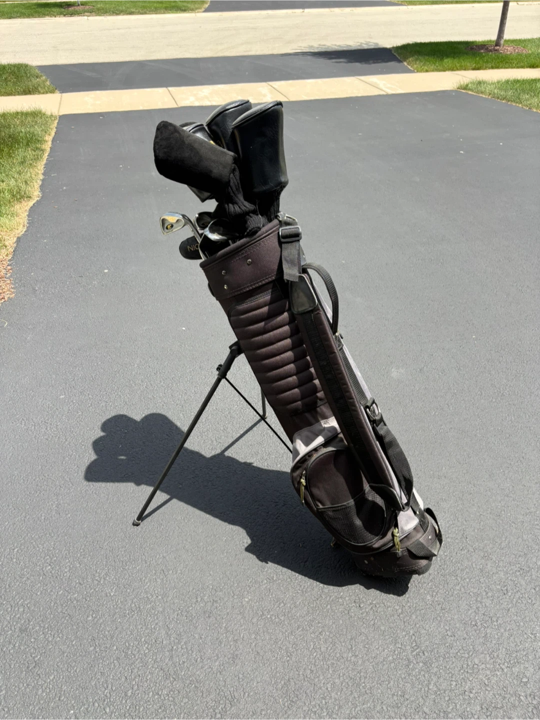 Gold Bear Gentlemen’s Golf Club Set with Bag - photo 3