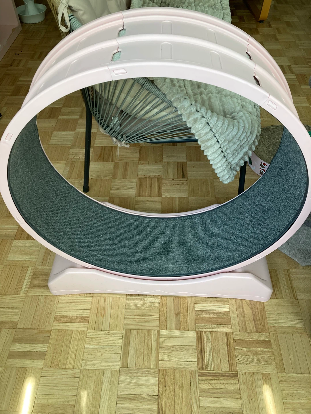 Pink Cat Exercise Wheel