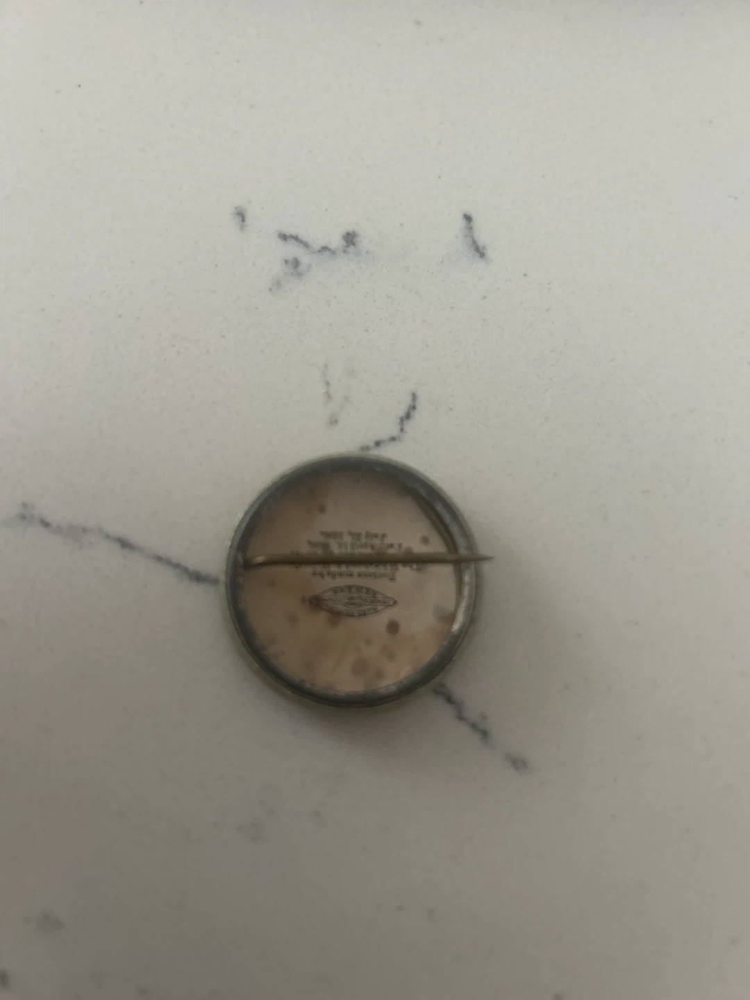 William Jennings Bryan and Stevenson Political Pin - photo 2