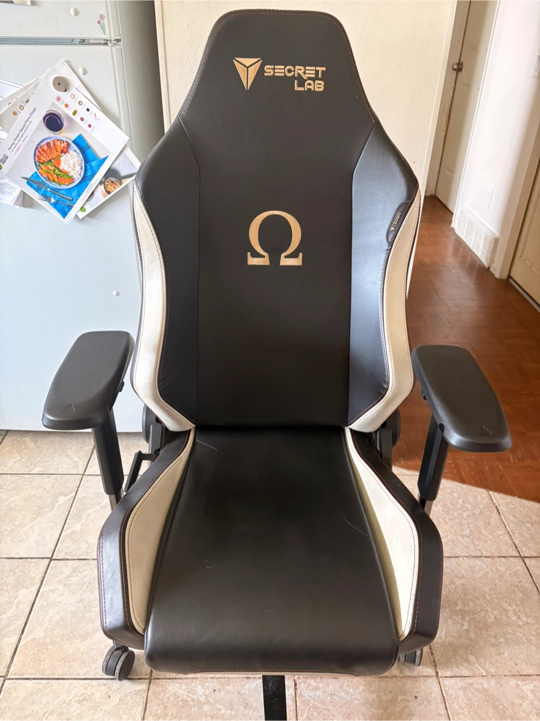 Secretlab Omega Gaming Chair
