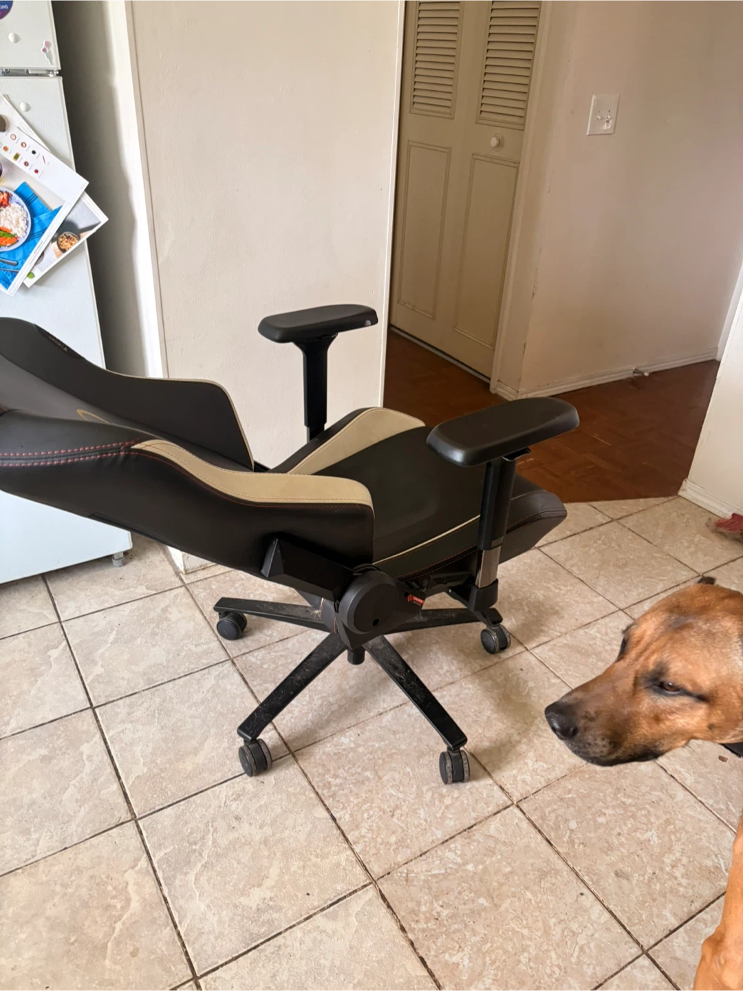 Secretlab Omega Gaming Chair - photo 3