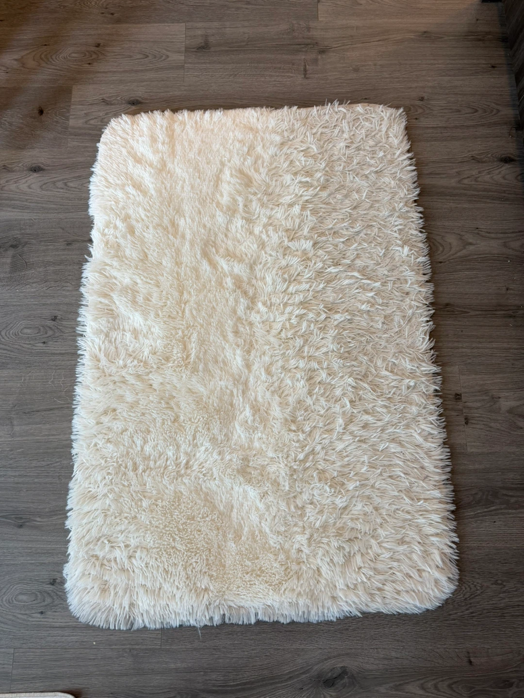 Cream Rug