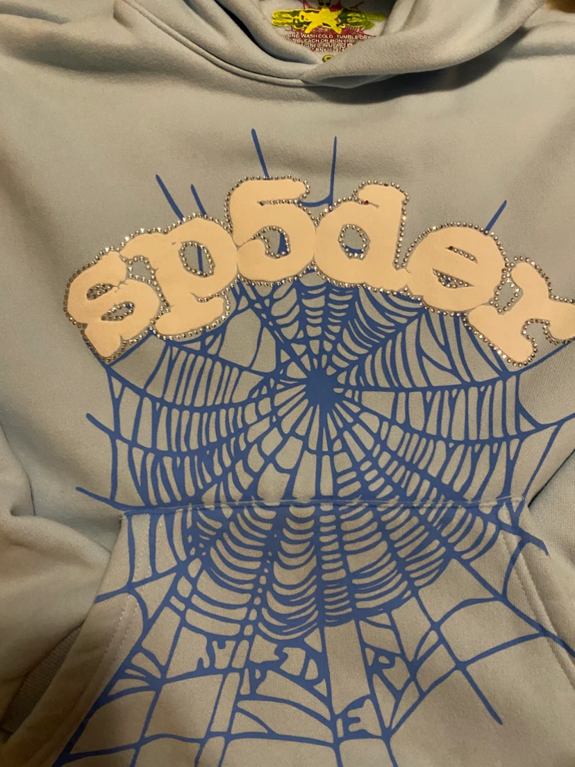 Baby blue spider hoodie
