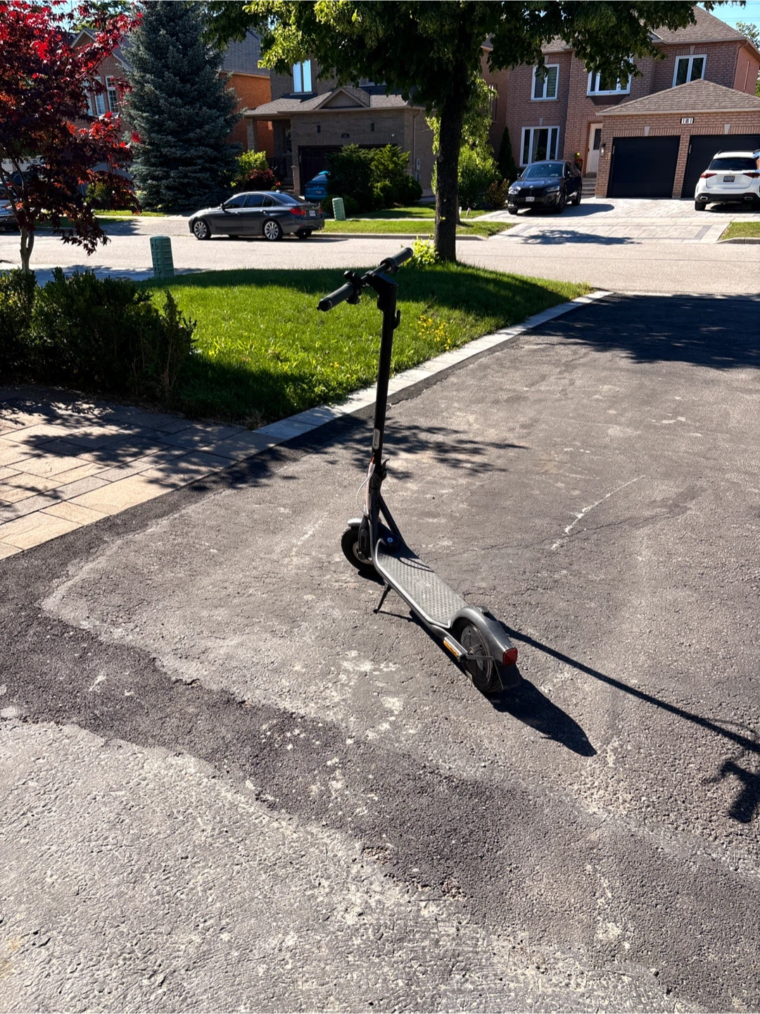 Ninebot Electric Scooter