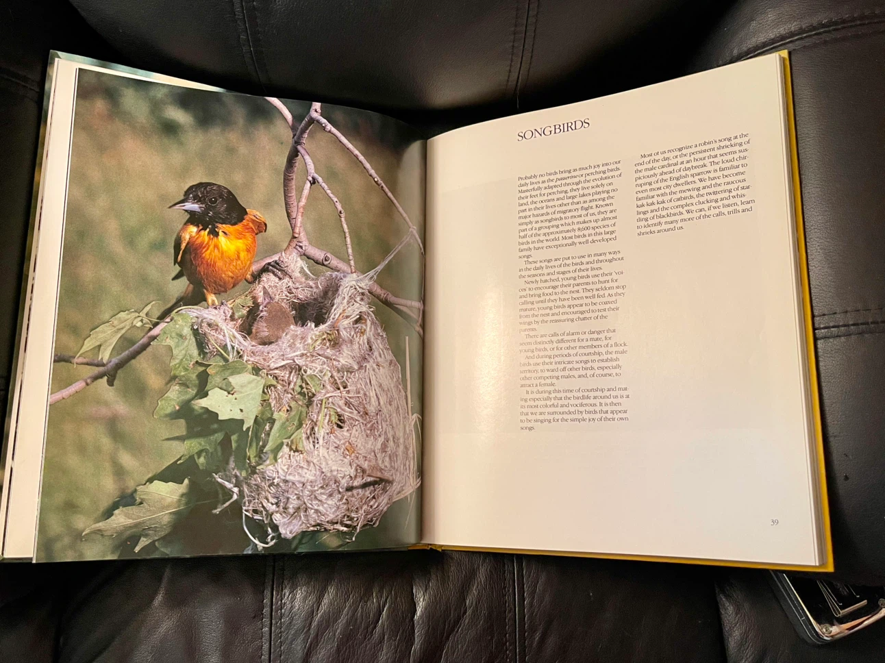 Birds of Canada Book - photo 2