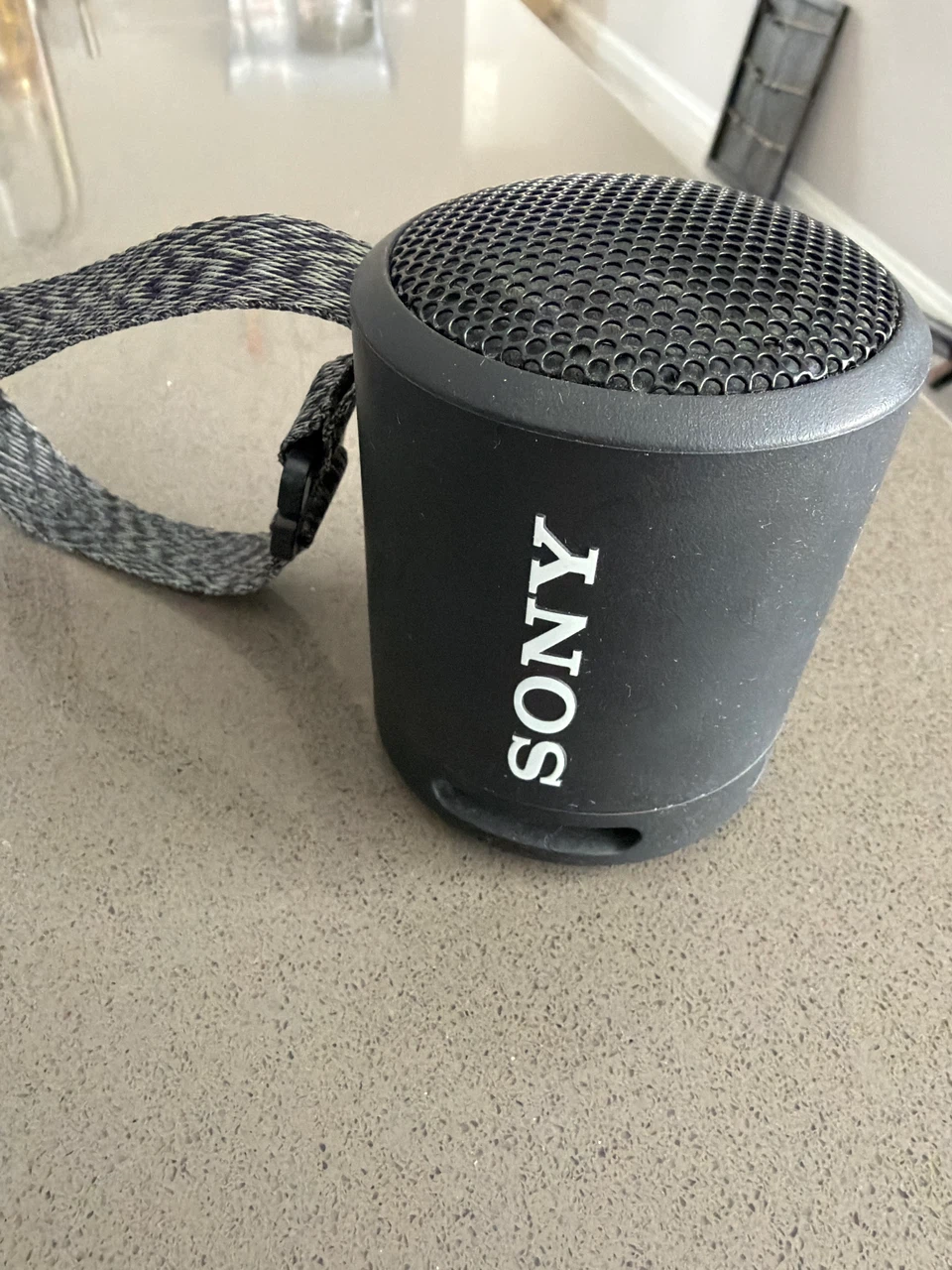 Sony Portable Bluetooth Speaker