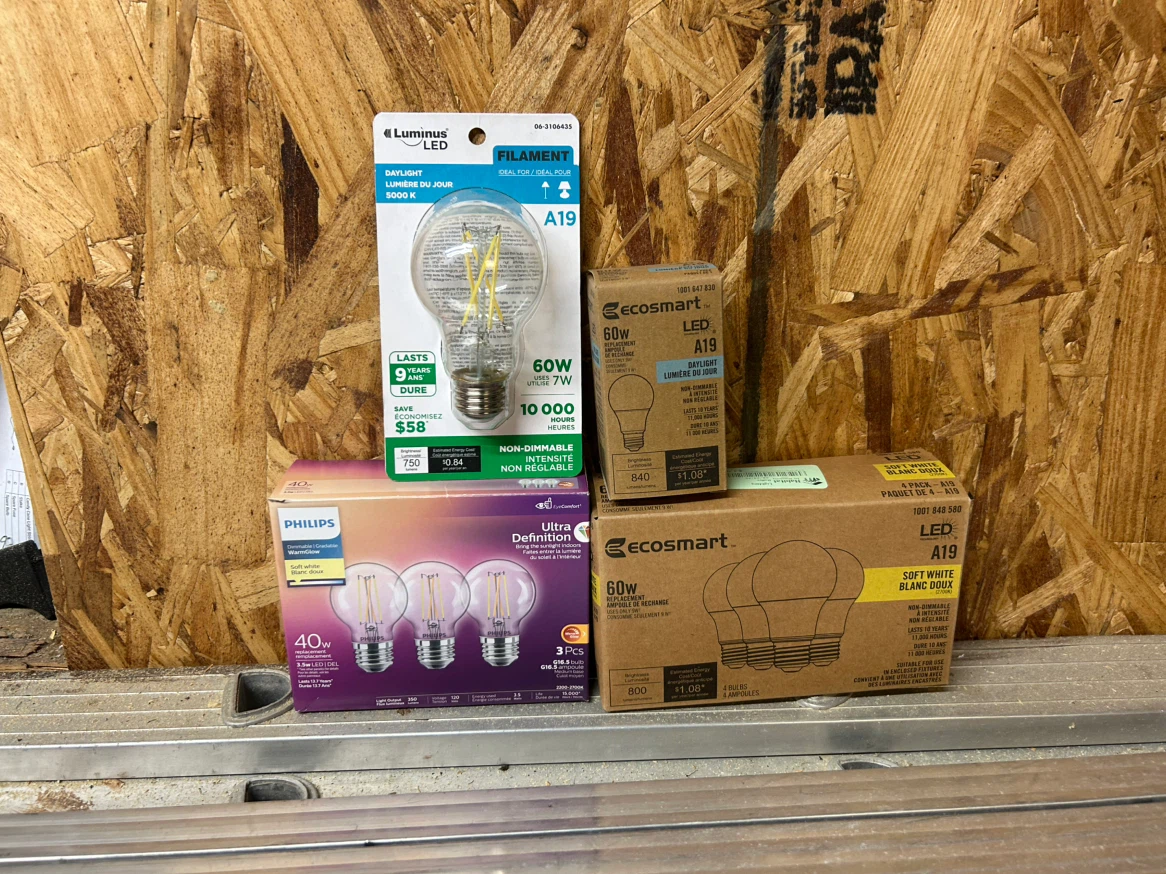 Assorted LED Light Bulbs - Philips, Ecosmart, and Lum-ins