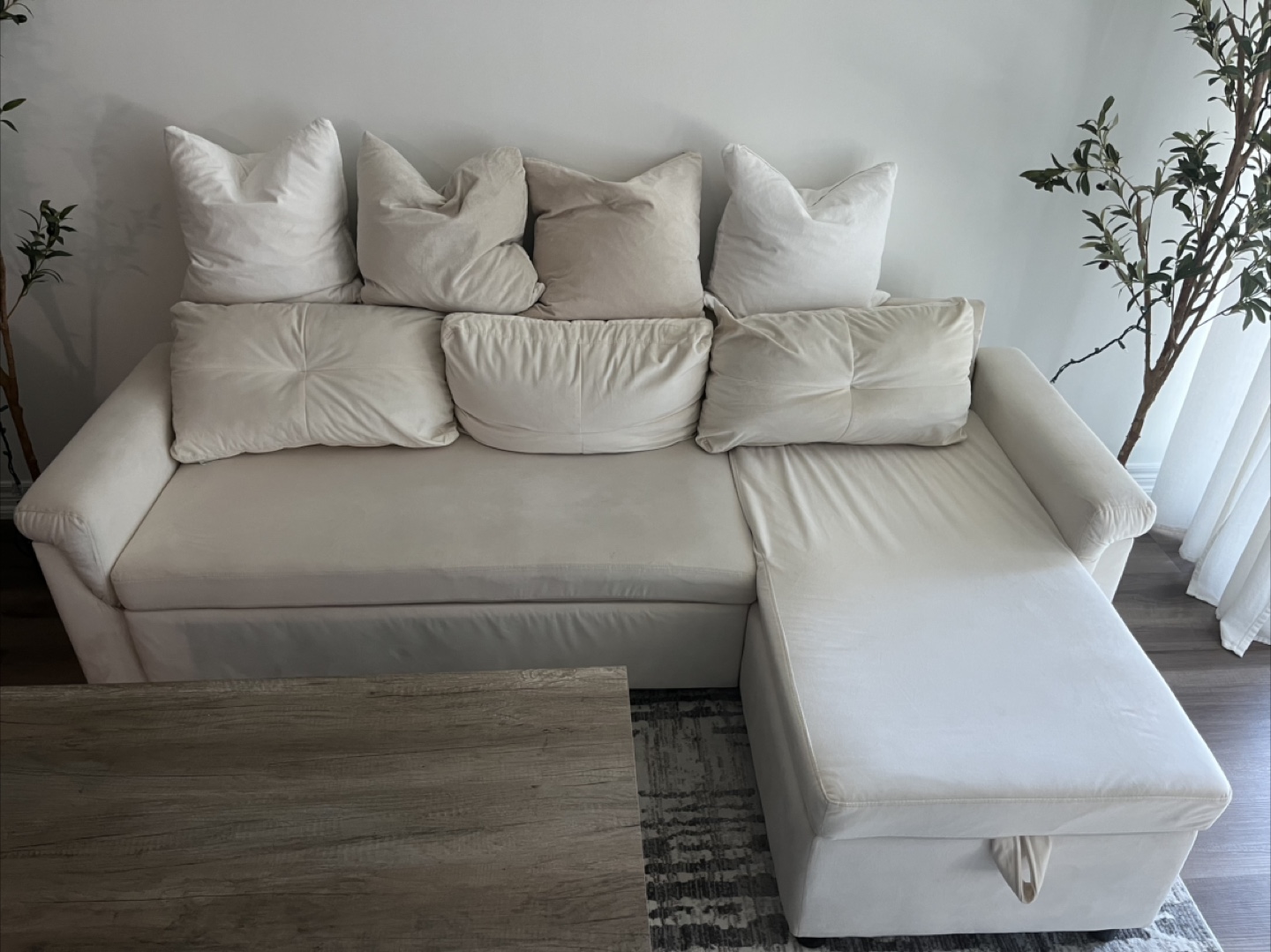 Beige Sofa Bed with Storage