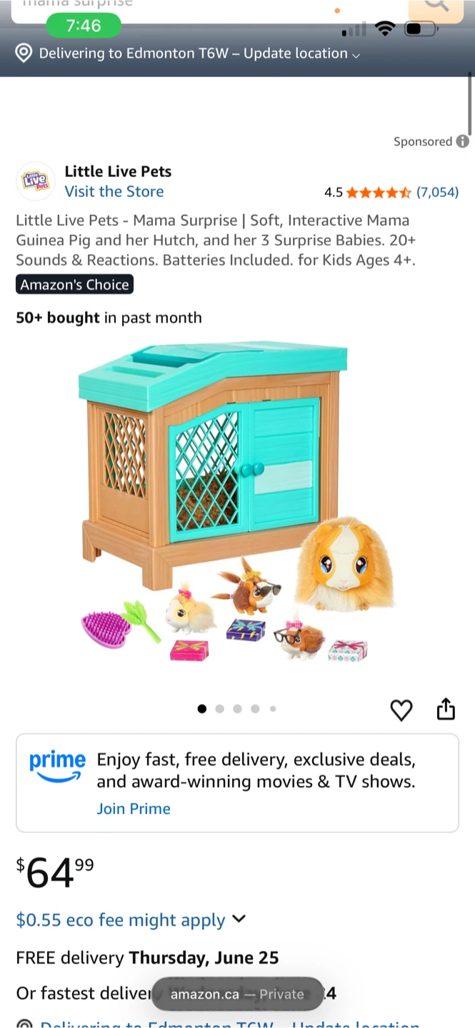 Little Live Pets Mama Surprise Guinea Pig Hutch with 3 Babies
