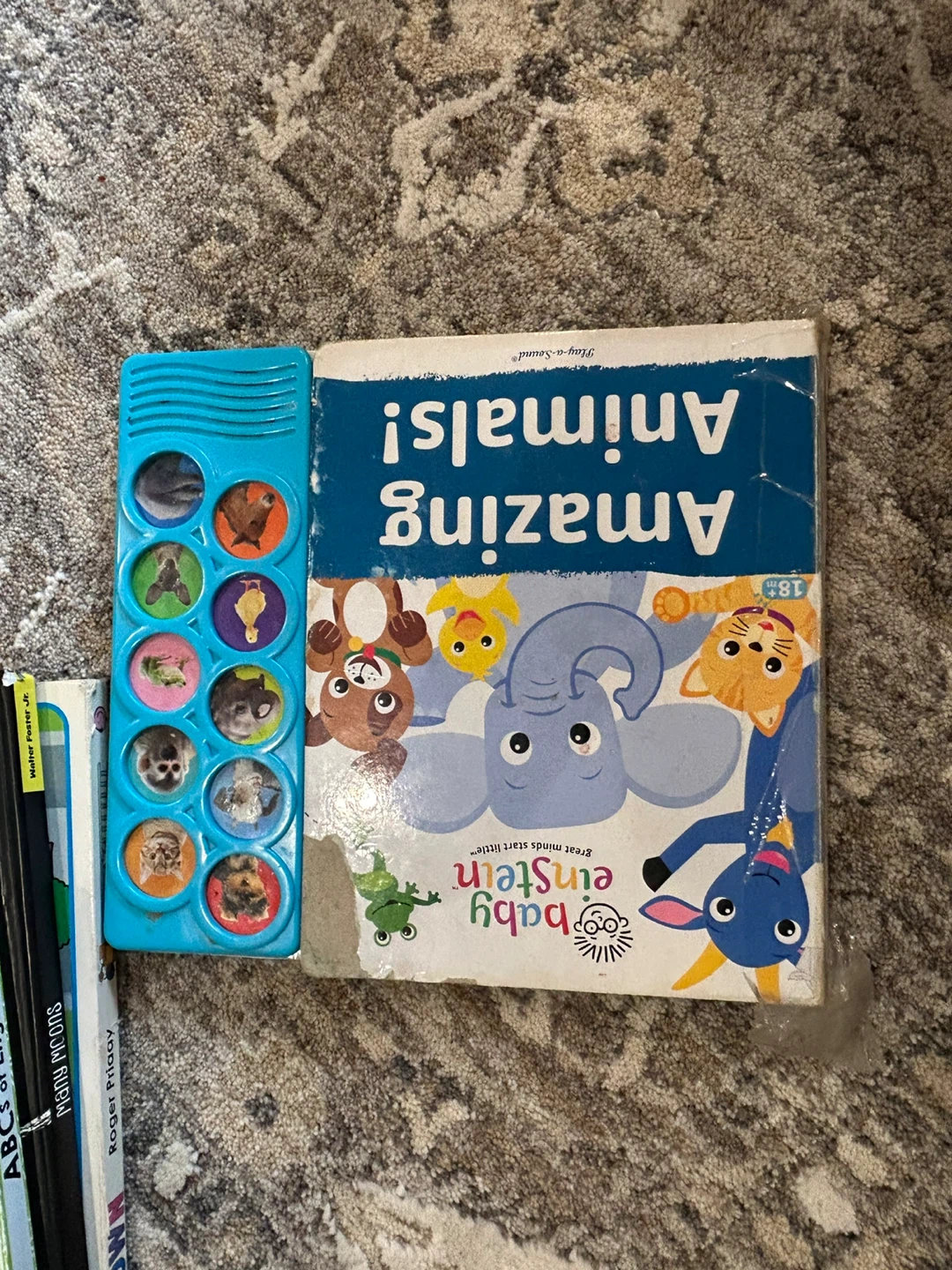 Board books, Amazing Animals Interactive Board Book - photo 2