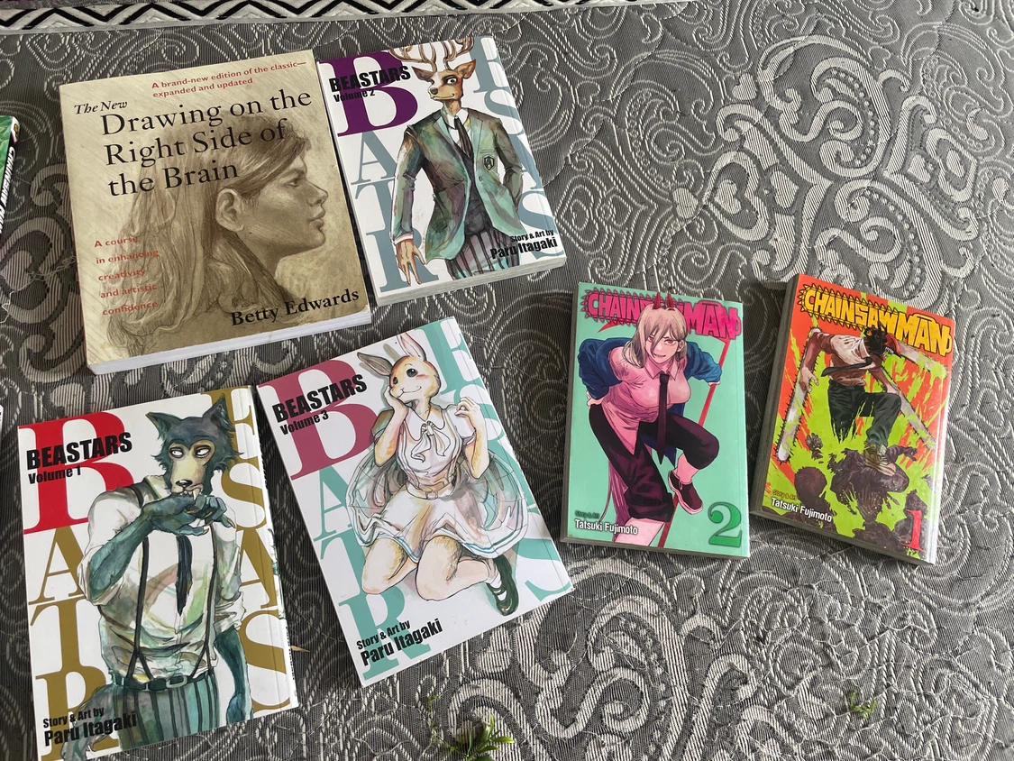 Book/Manga Lot - photo 4