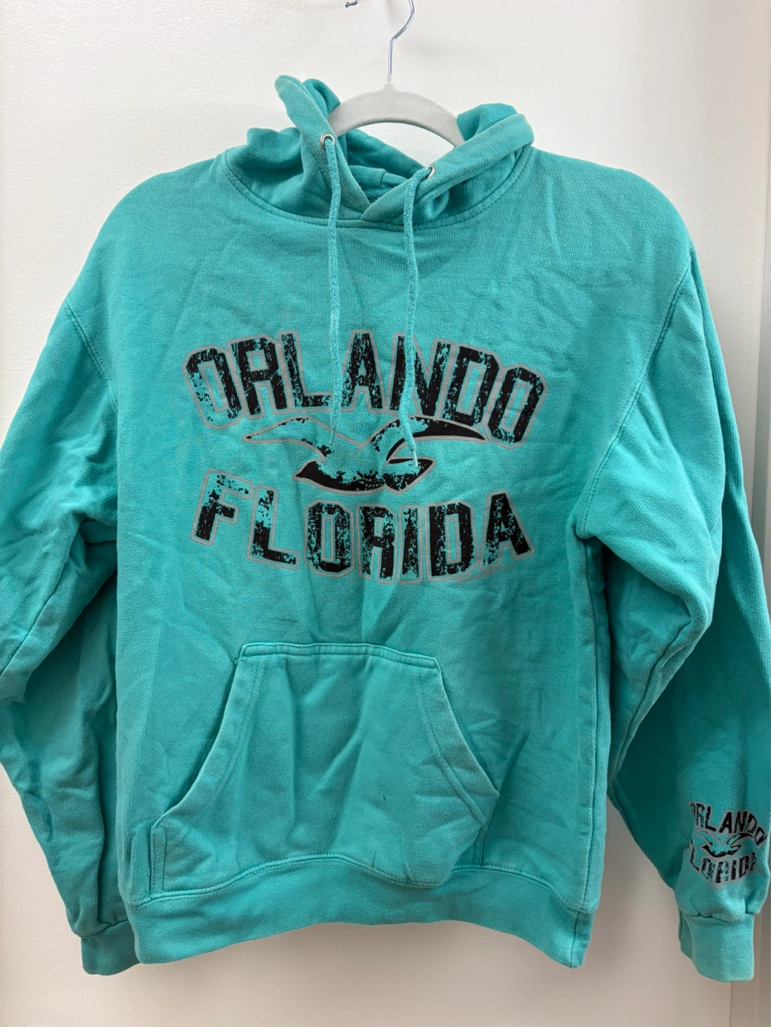 Turquoise Orlando Florida Hoodie