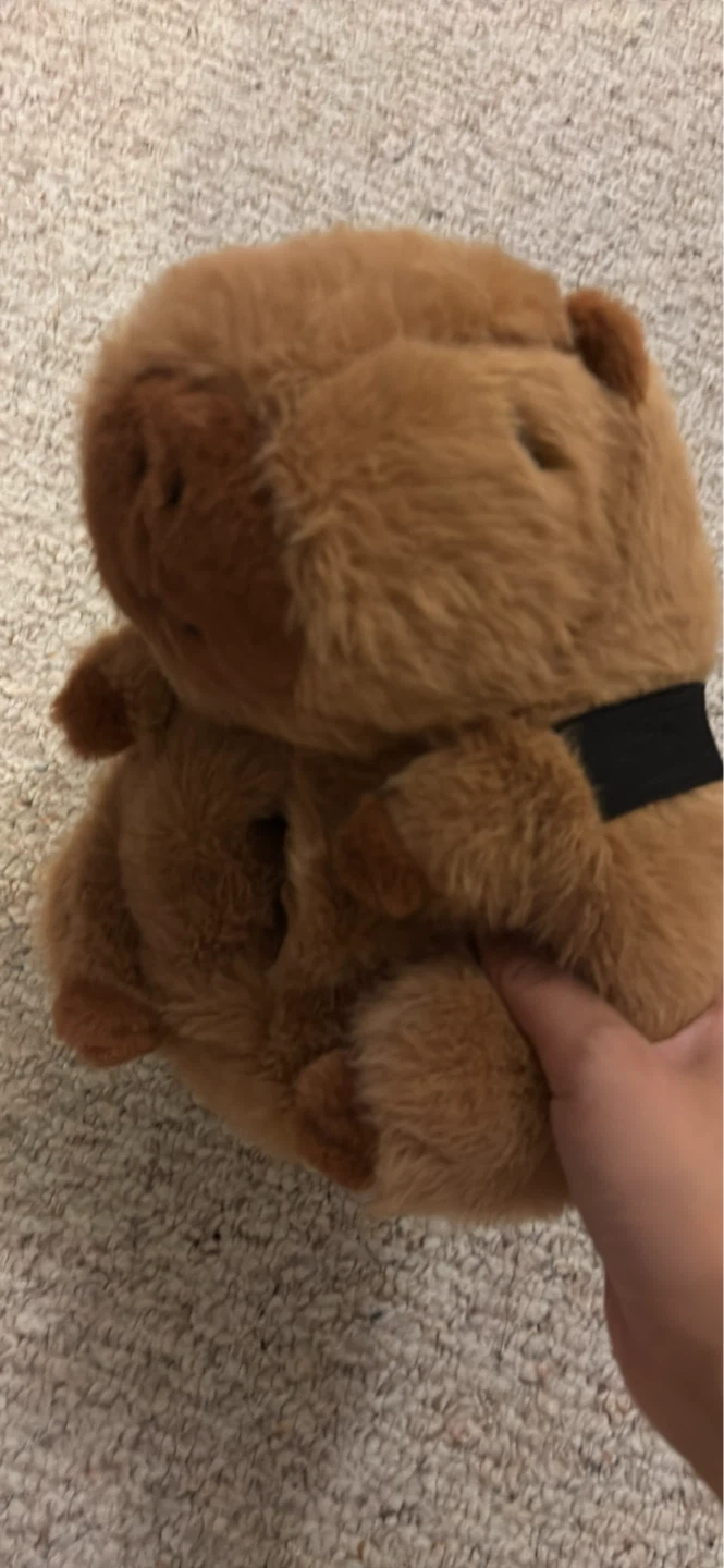 Capybara Car Tissue Box Holder