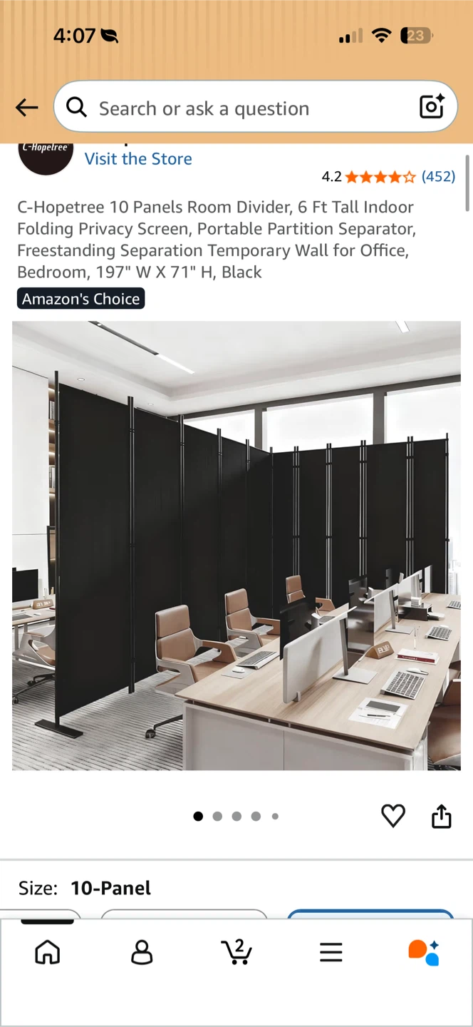 C-Hopetree 10 Panel Folding Room Divider - Black - photo 5