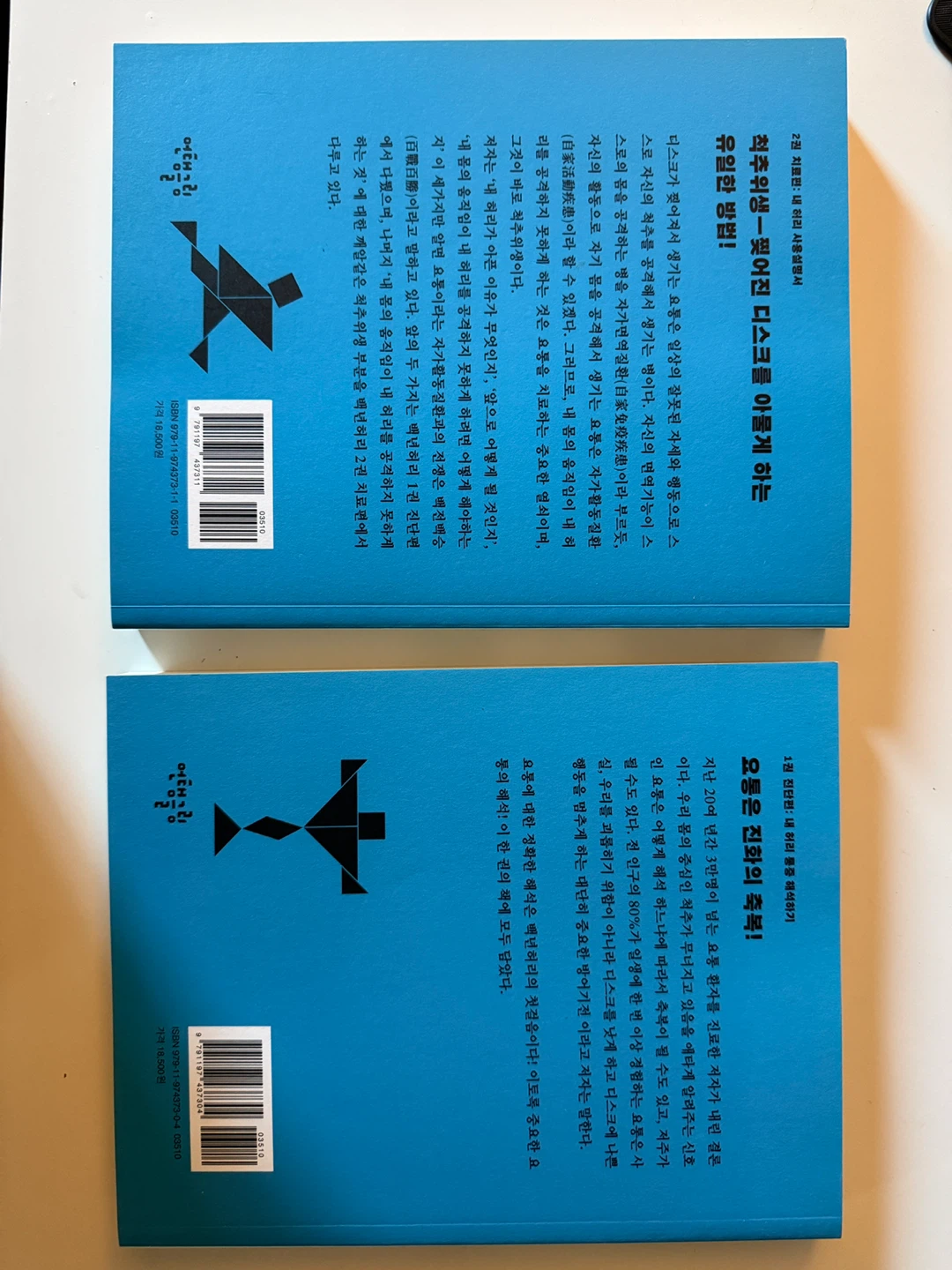 The 100-Year Back (Korean book) + Back Stretcher - photo 2