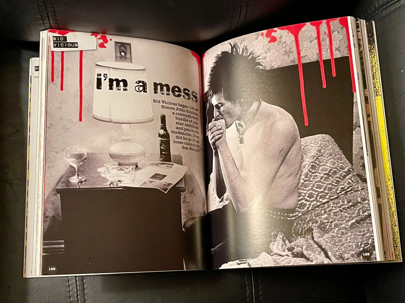 Punk The Whole Story softcover book - photo 3