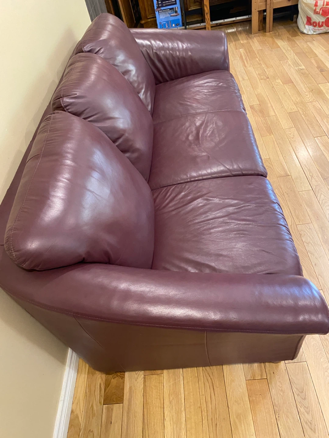 Palliser Genesis Design Dale Leather Sofa (CAN DELIVER) - photo 4