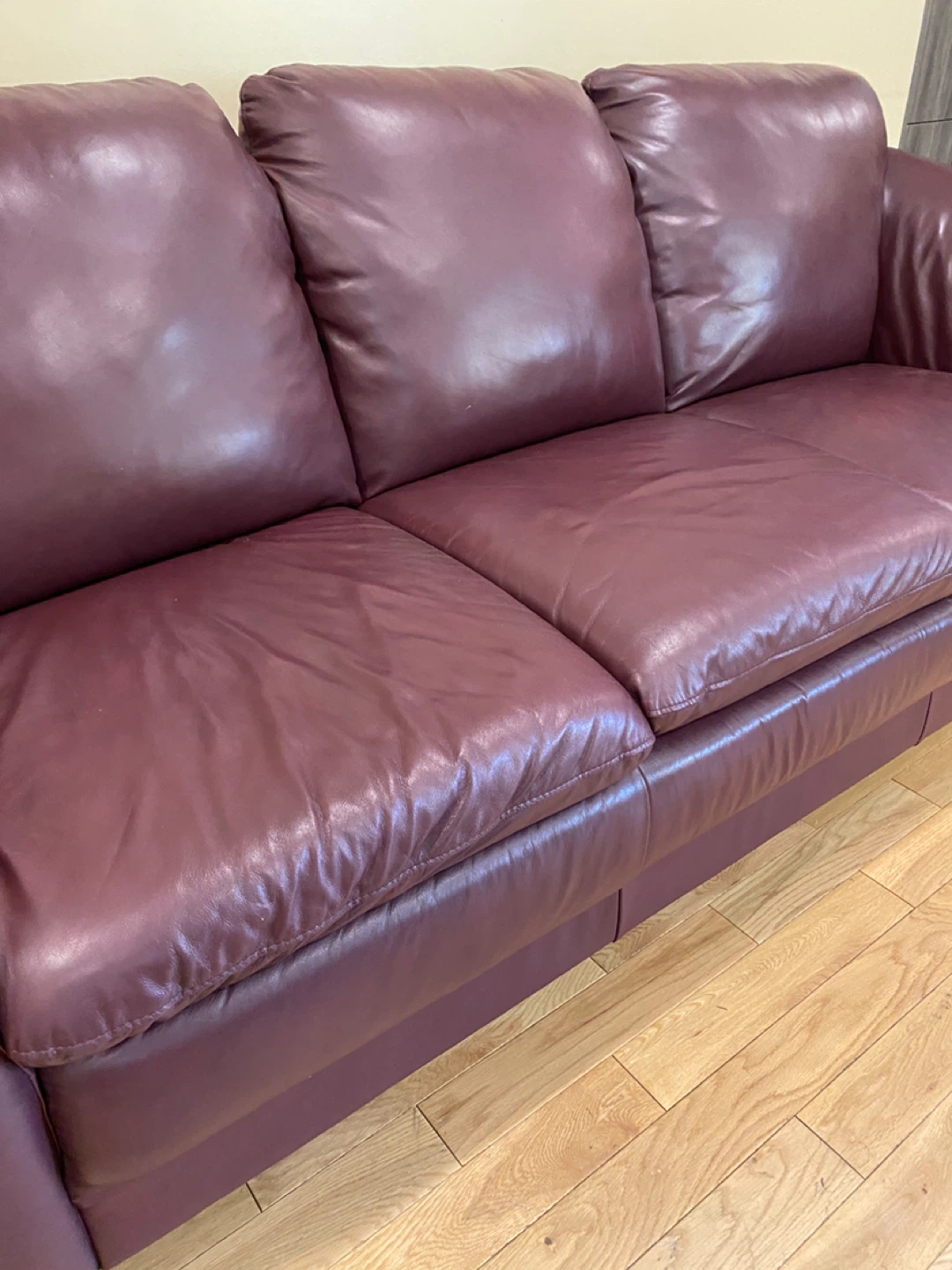 Palliser Genesis Design Dale Leather Sofa (CAN DELIVER) - photo 5