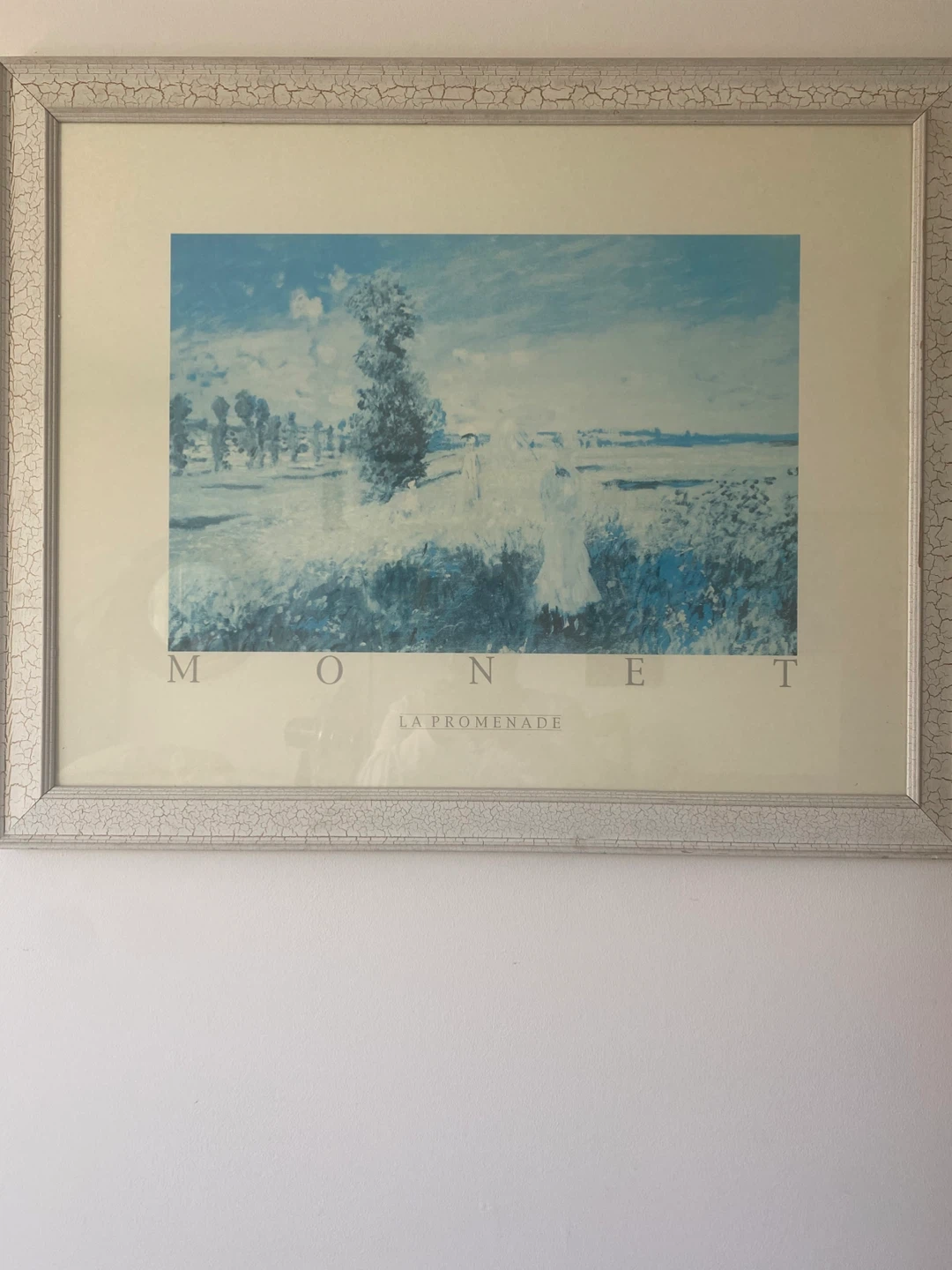 Monet La Promenade Framed Art Print