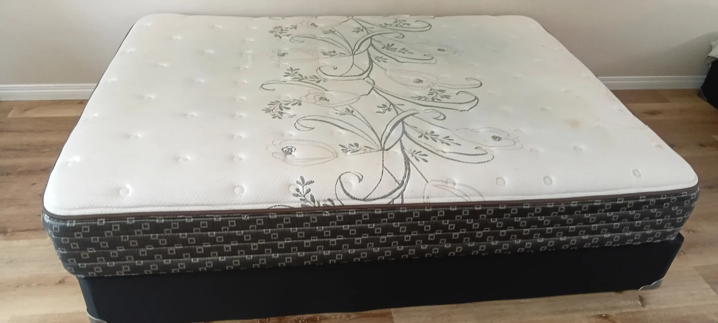 Queen size Sealy Posturepedic Mattress with Box spring - photo 2