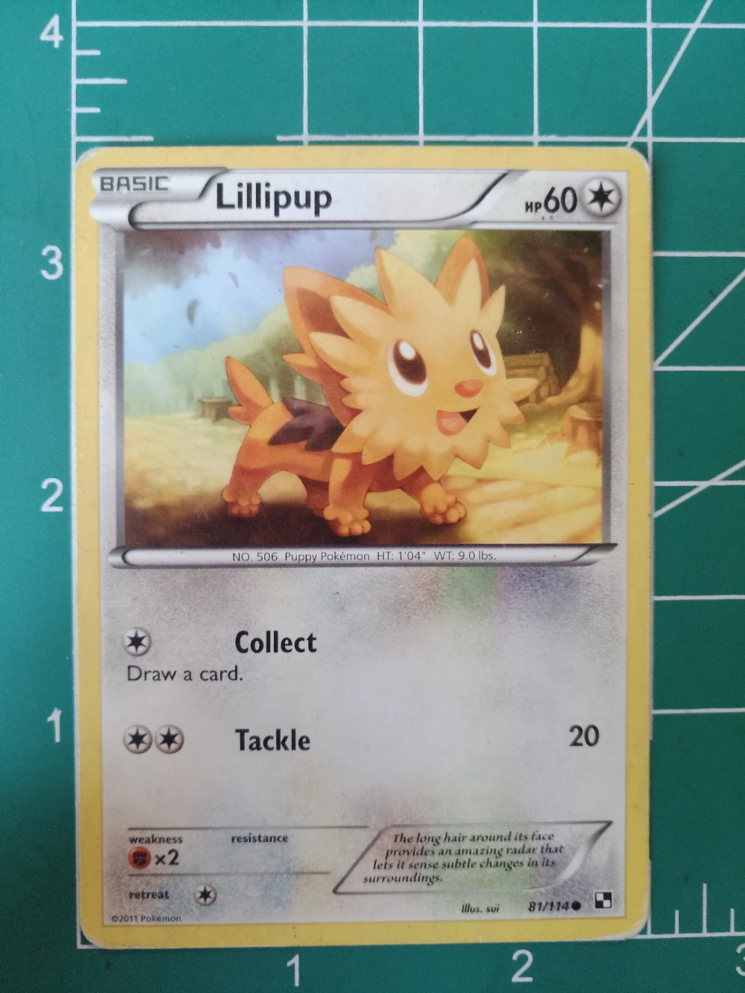 Pokemon TCG Lillipup Card 81/114