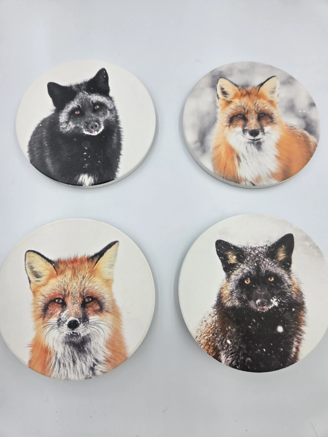 Set of 4 Fox Coasters