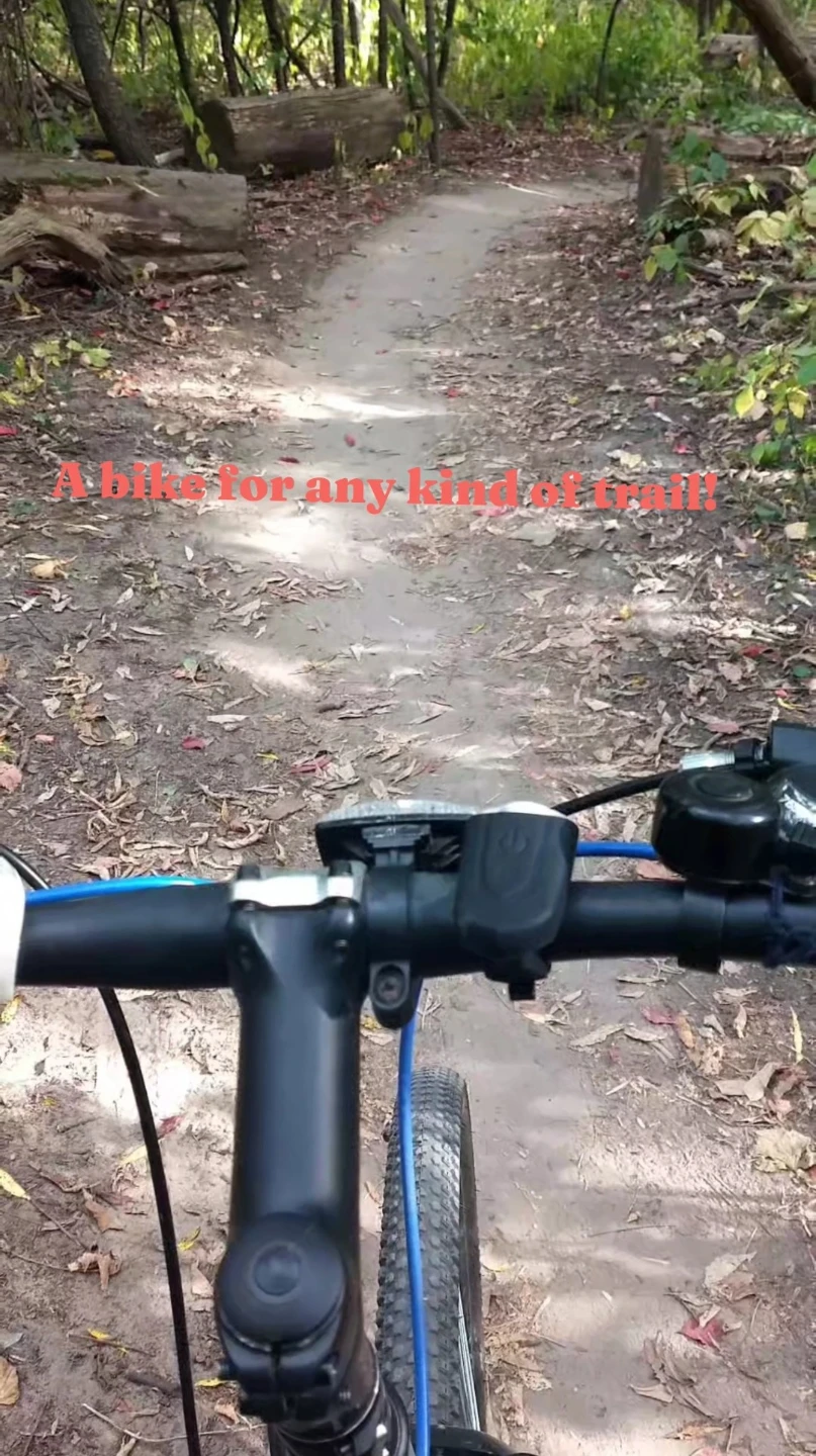 A bike with dual suspensions with a $ 50 free Mudguard - photo 5
