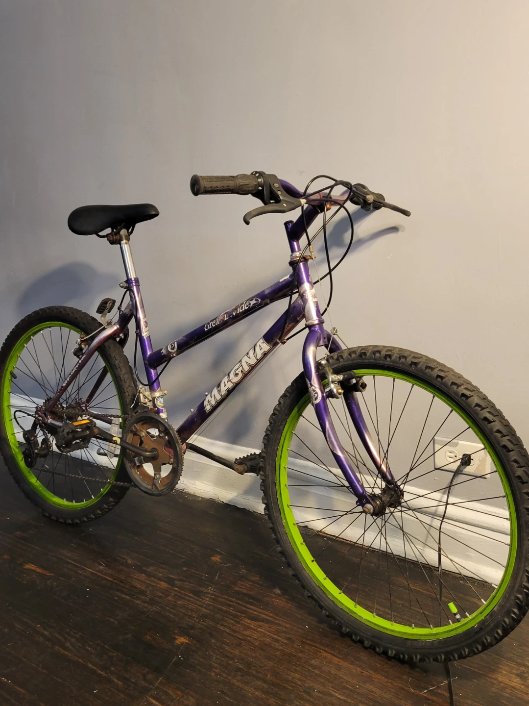 Purple Magna Great Ride Mountain Bike - photo 4