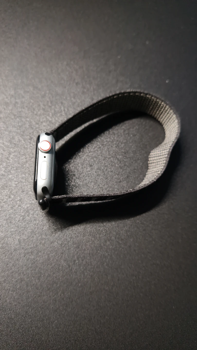 Apple Watch SE (40mm) Silver Aluminium Case - photo 2