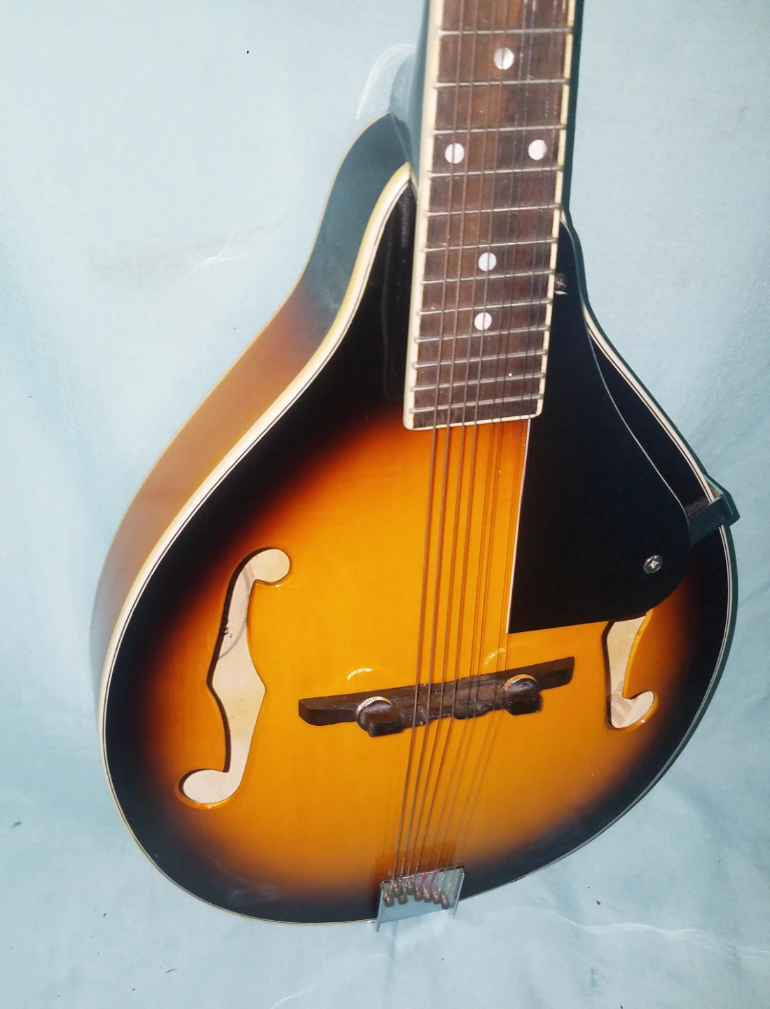Johnson Acoustic Mandolin Needs Strings and Tailpiece Cover - photo 2