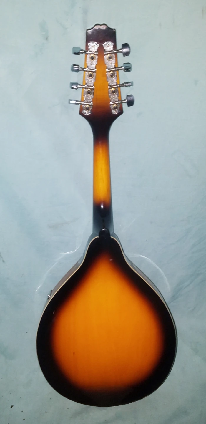 Johnson Acoustic Mandolin Needs Strings and Tailpiece Cover - photo 4