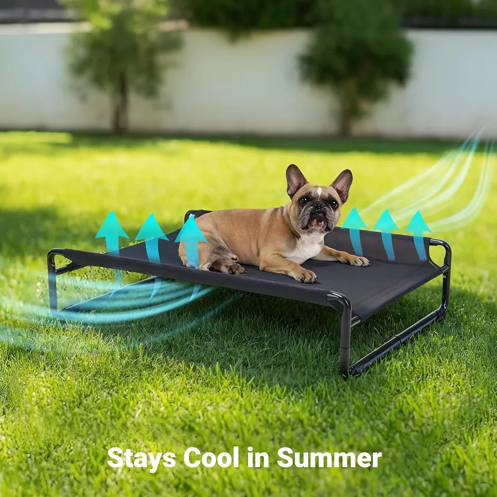 Dog Bed