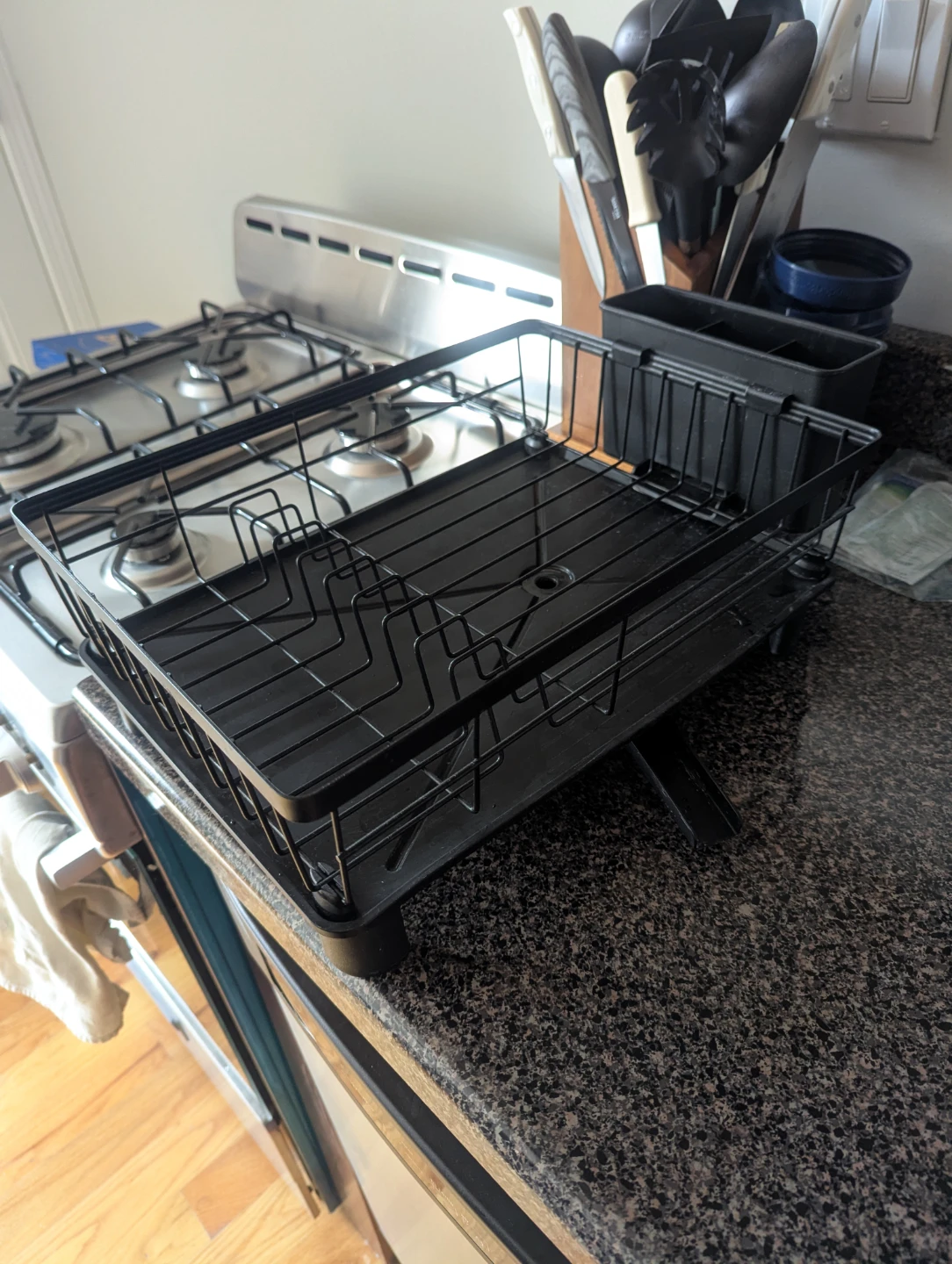 Black Metal Dish Rack with Utensil Holder