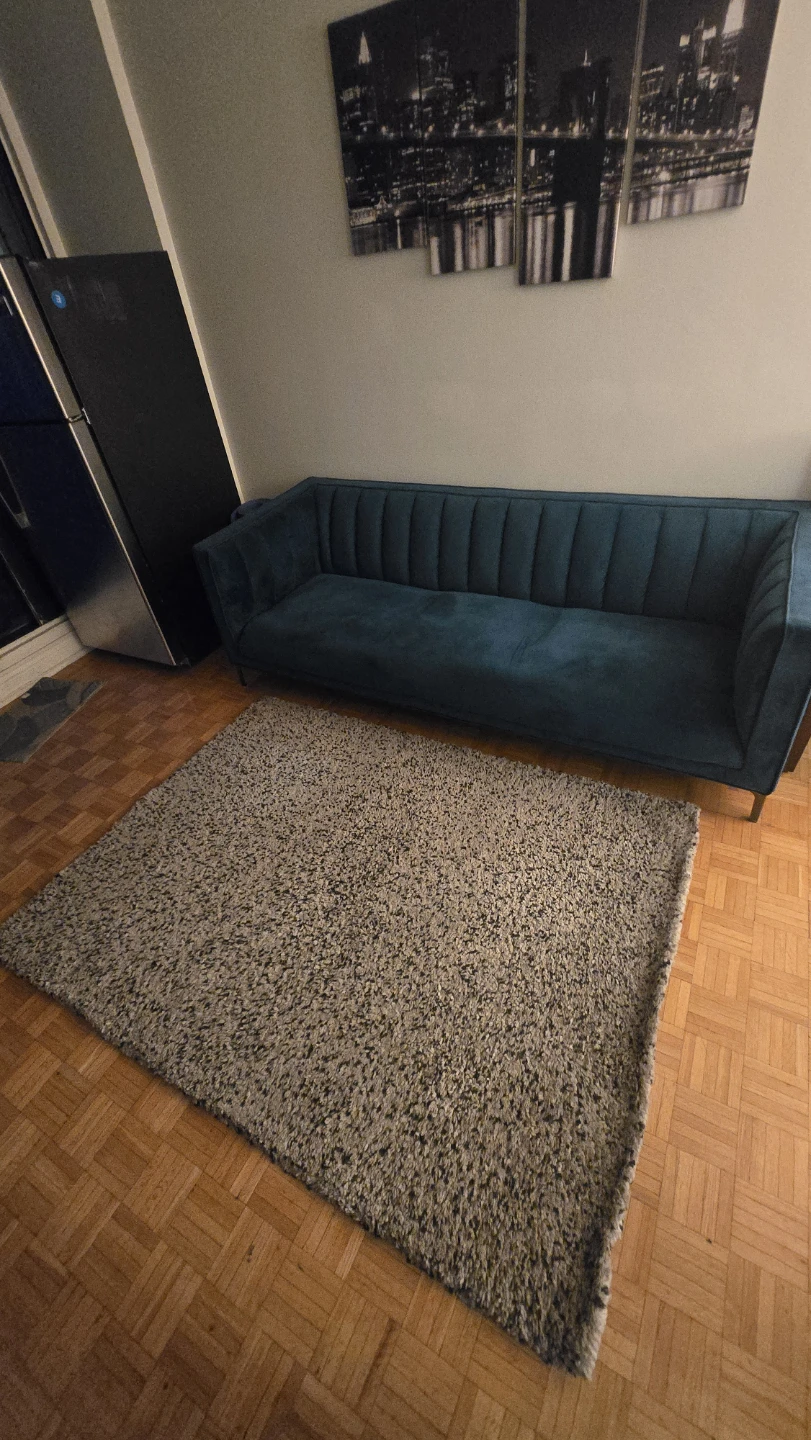 Carpet - photo 3