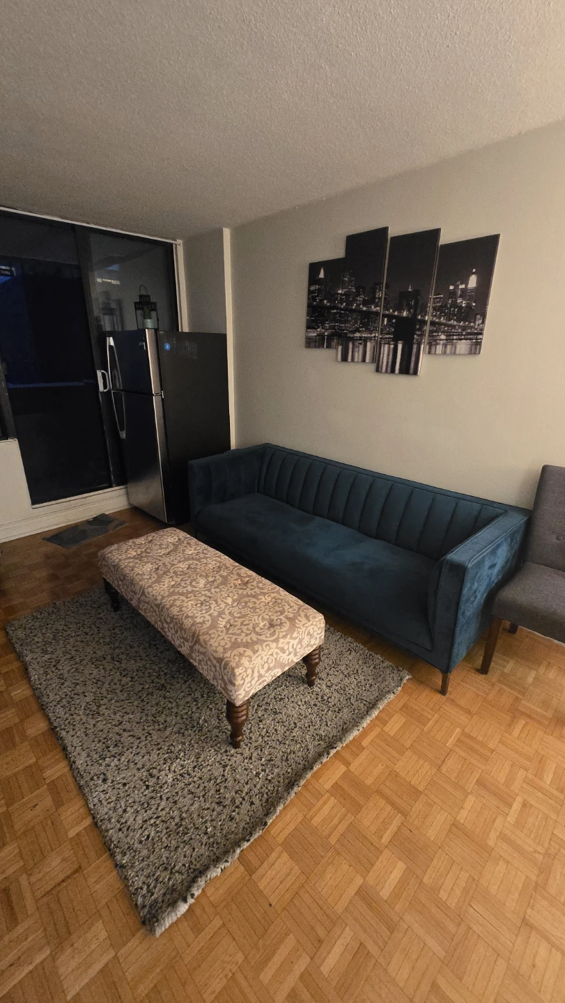 Carpet - photo 4