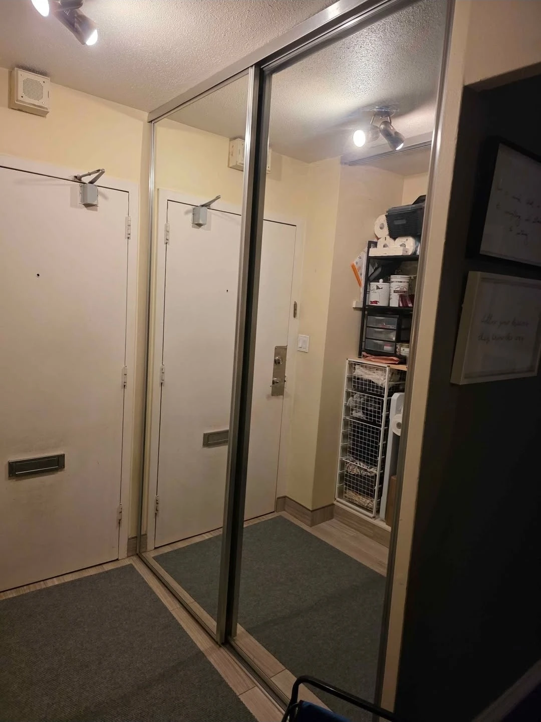 Mirrored Closet Doors