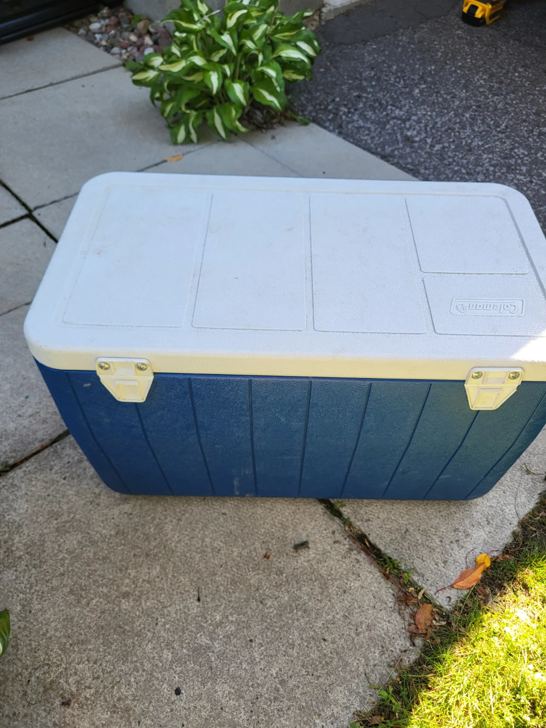 48 Quart Coleman Cooler - photo 5