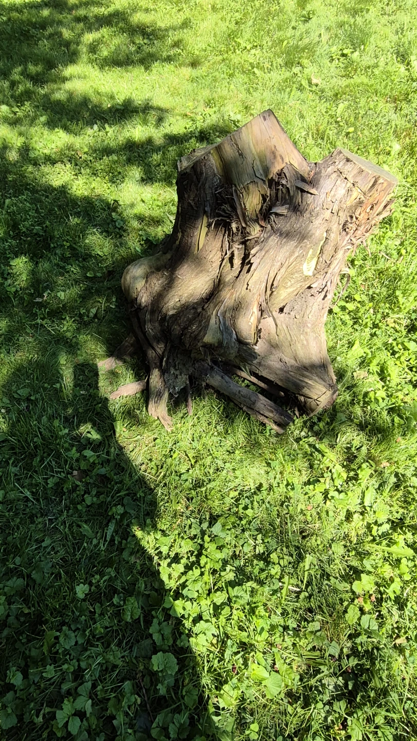 Decorative Rustic wooden tree stump - photo 2